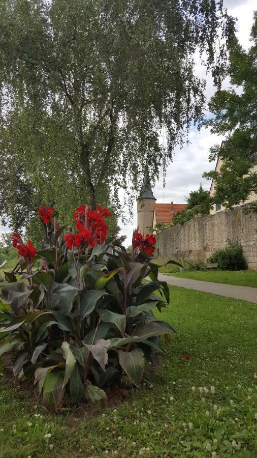 Direkt Am Main Villa Karlstadt Eksteriør bilde